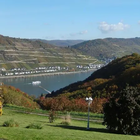 شقة Mit Balkon Und Rheinblick By Interhome باشاراش