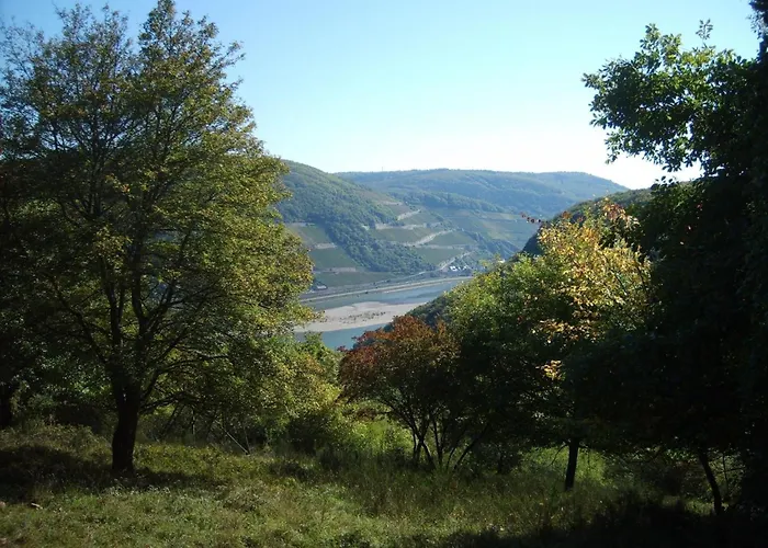Apartmán Mit Balkon Und Rheinblick By Interhome Bacharach